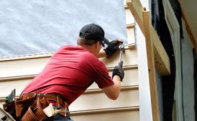 Best Vinyl Siding Installation  in Weston, FL